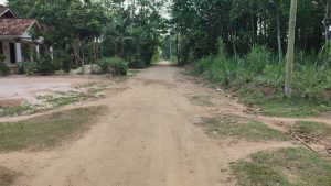 20 tahun Jalan Tak Kunjung Dibangun, Warga Kecamatan Way Bungur Keluhkan Perhatian Pemkab Lampung Timur