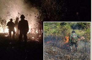 Dua Lokasi TNWK Terbakar, Ini Yang Dilakukan Babinsa Kodim 0429/Lamtim