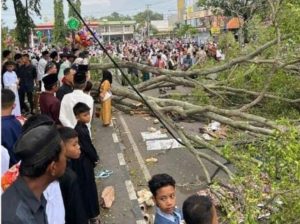 Tragedi di Alun-alun Pemalang: Pohon Tumbang Tewaskan Tiga Jamaah Shalat Id, Siapa Bertanggung Jawab?