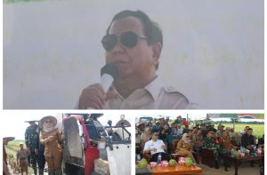 Dandim Bersama Forkopimda Lamtim Hadiri Panen Raya Padi Serentak 14 Provinsi